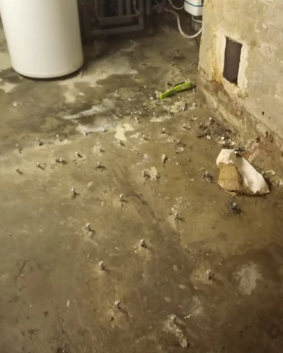 Kellerboden mit zahlreichen gesetzten Injektionspackern vor einer Wand aus Beton und Ziegel
