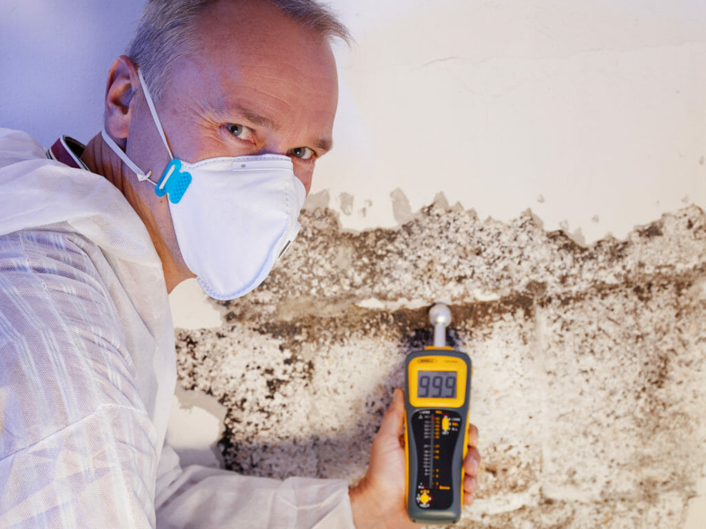 Schimmel Gutachter begutachtet Schimmel Schaden an einer verschimmelten Wand in einer Wohnung